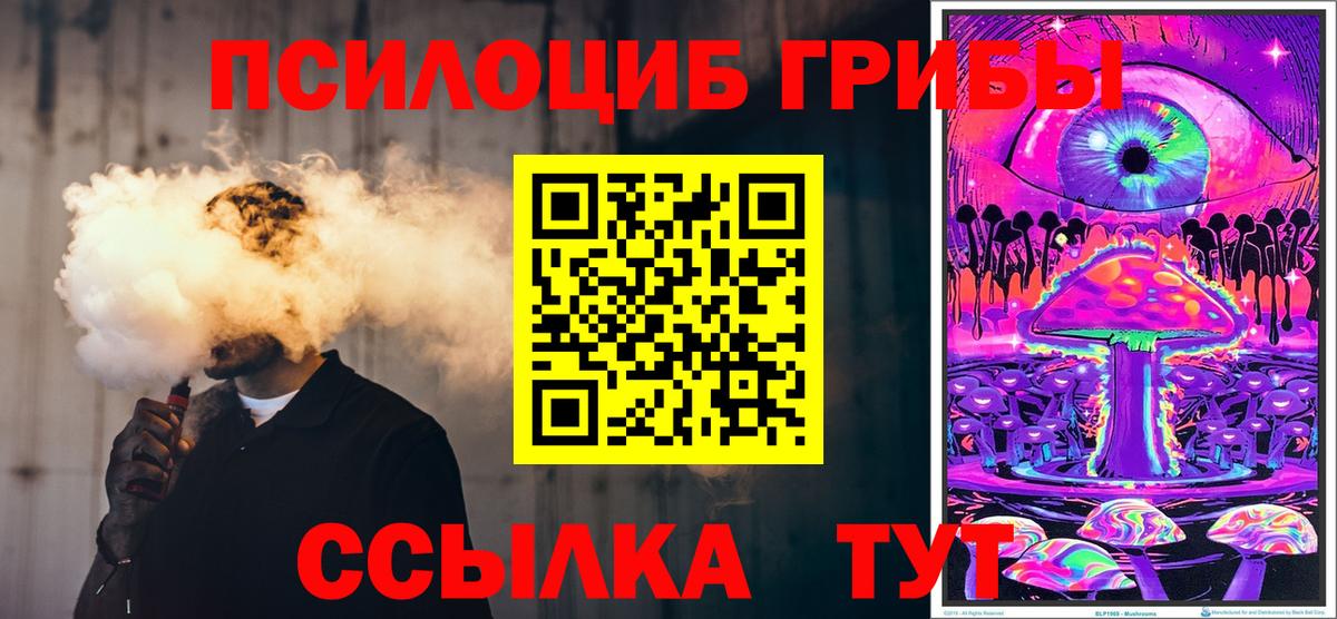 Псилоцибиновые грибы GOLDEN TEACHER Нальчик
